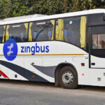 zingbus